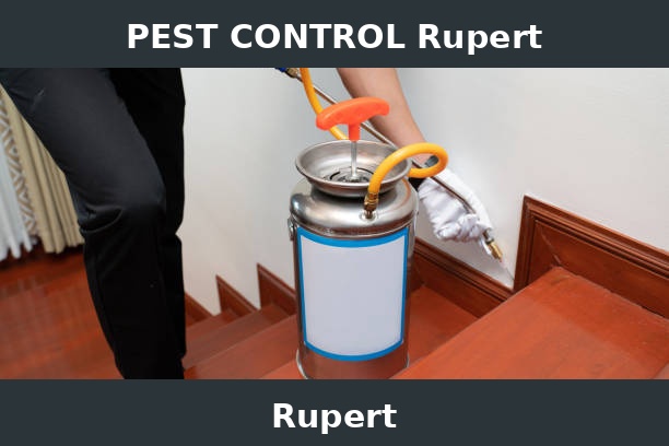 PEST CONTROL Rupert